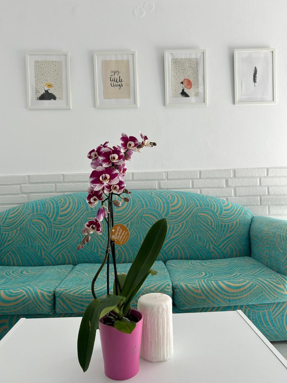 Maria'S Apartments Pigi  ภายนอก รูปภาพ